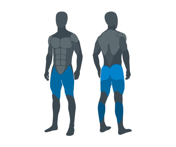 legs-muscle-group-1.jpg