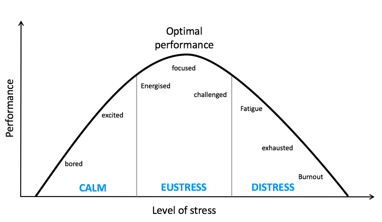 What is stress and what types of stress exist?