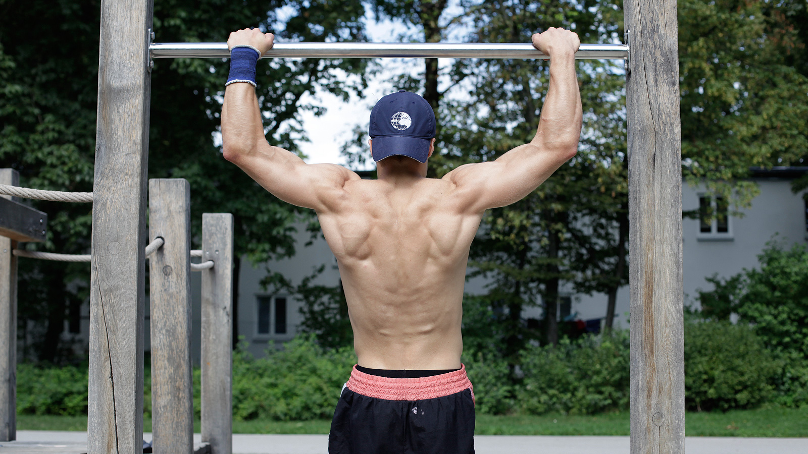 knowledge musclestructure