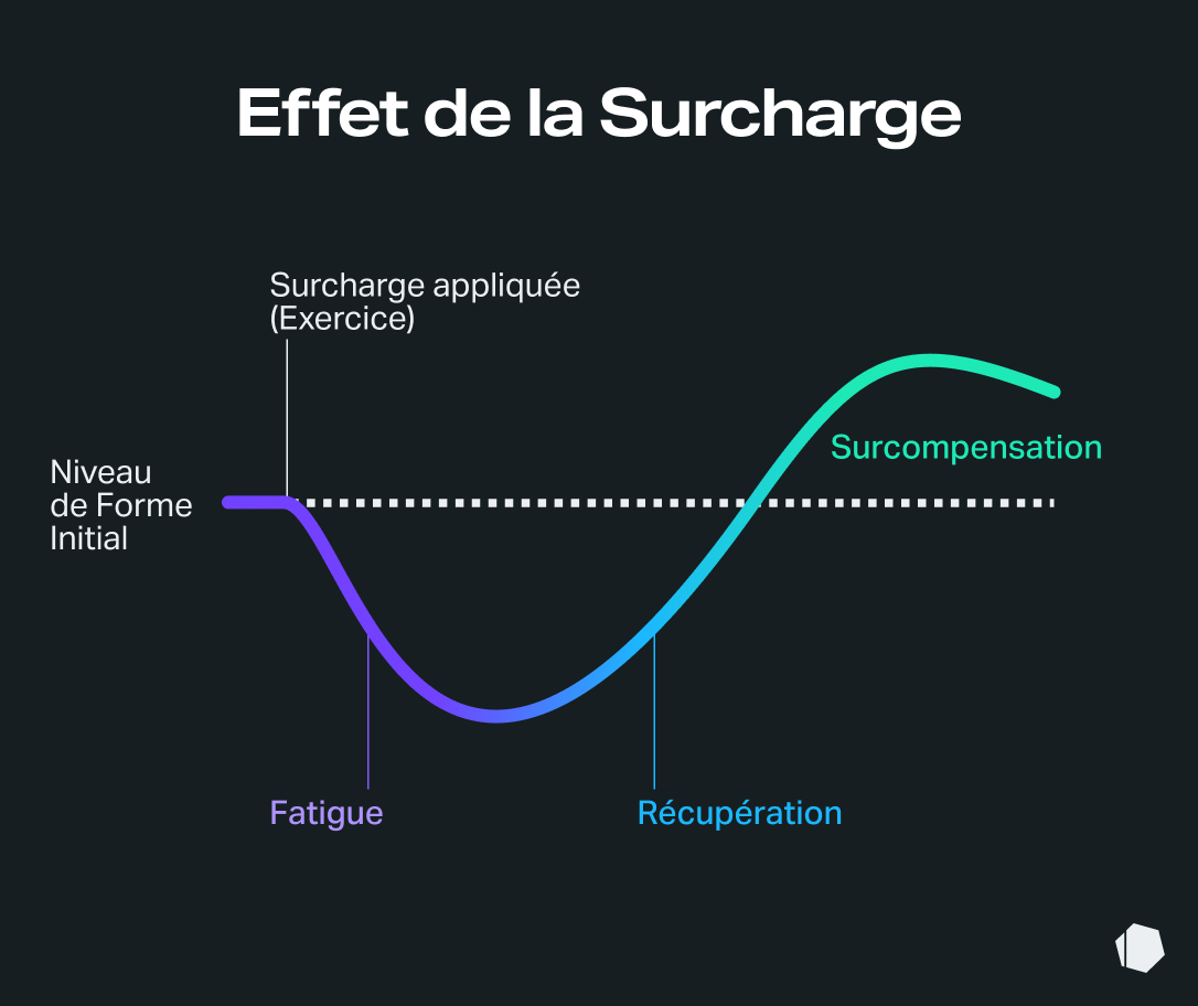 supercompensation-training-overload-recovery-chart-FR.jpg
