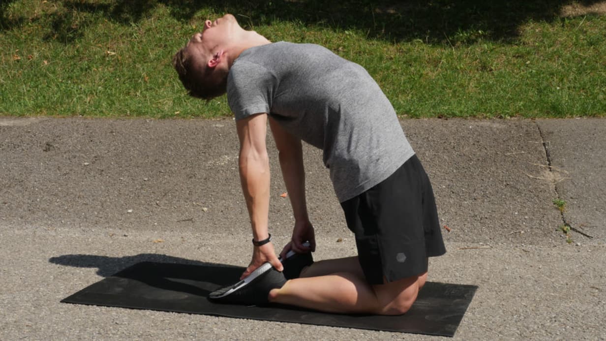 Flexibility