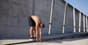 Get_bendy_Flexibility_techniques.jpeg