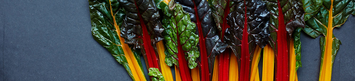 Header Singlefood chard 0743 1