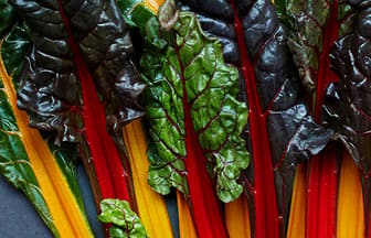Header Singlefood chard 0743 1