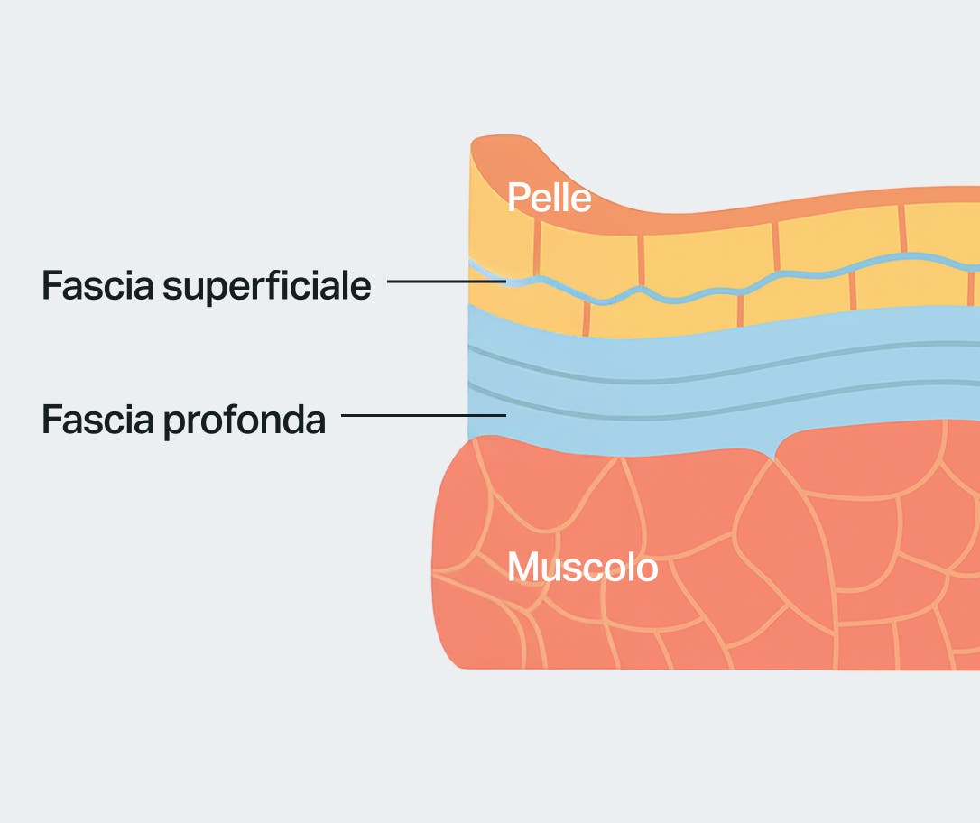 fascia-layers-superficial-deep-IT.jpg
