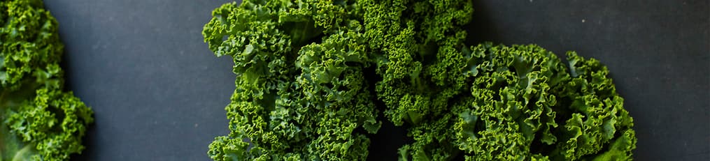 Header Kale