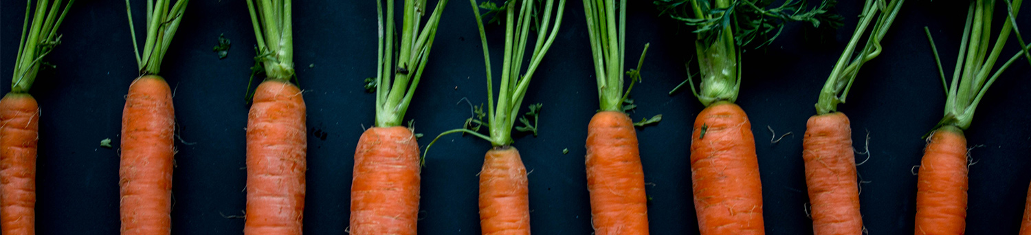 Header Carrots