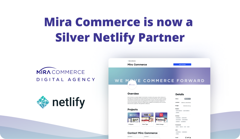 Silver Netlify Partner Tile