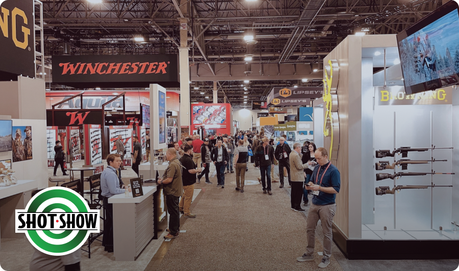 article_image 5.webp