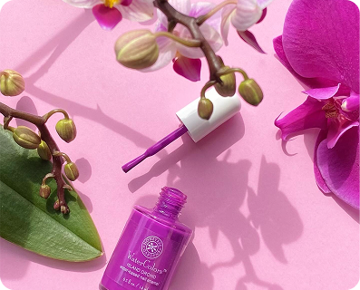 BKS CS - Honeybee Gardens