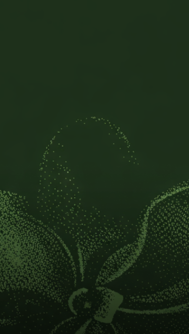 Commerce Live Desktop Banner.webp