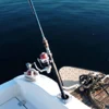 Rod Holders
