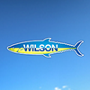 Wilson