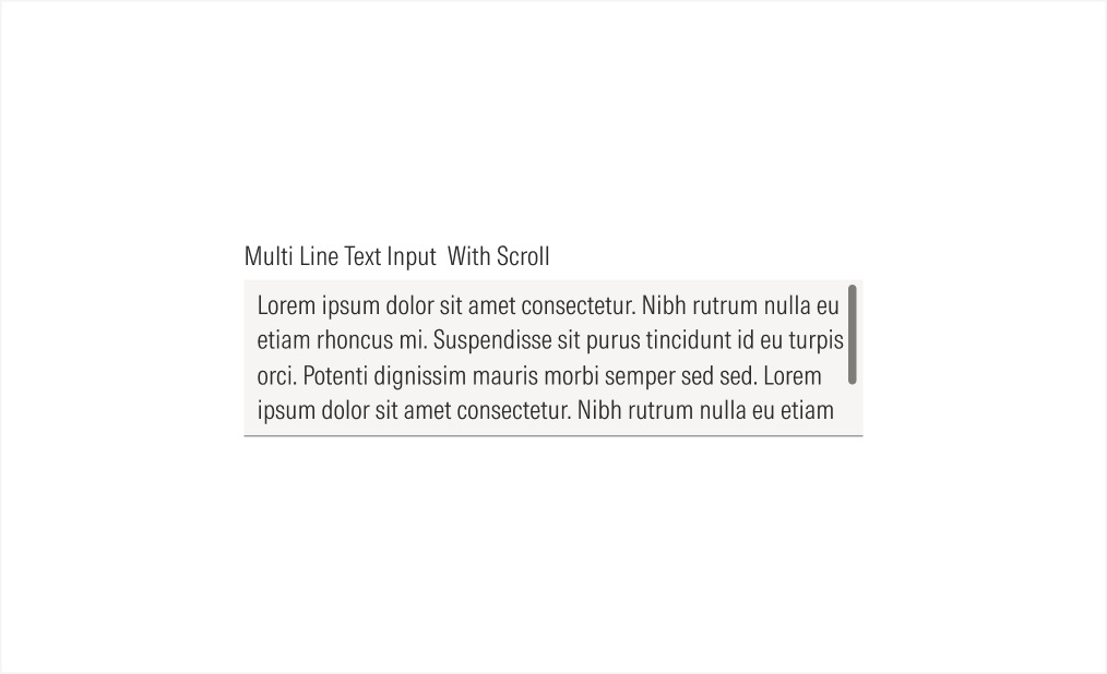 Multi-line With Scroll Bar Active
