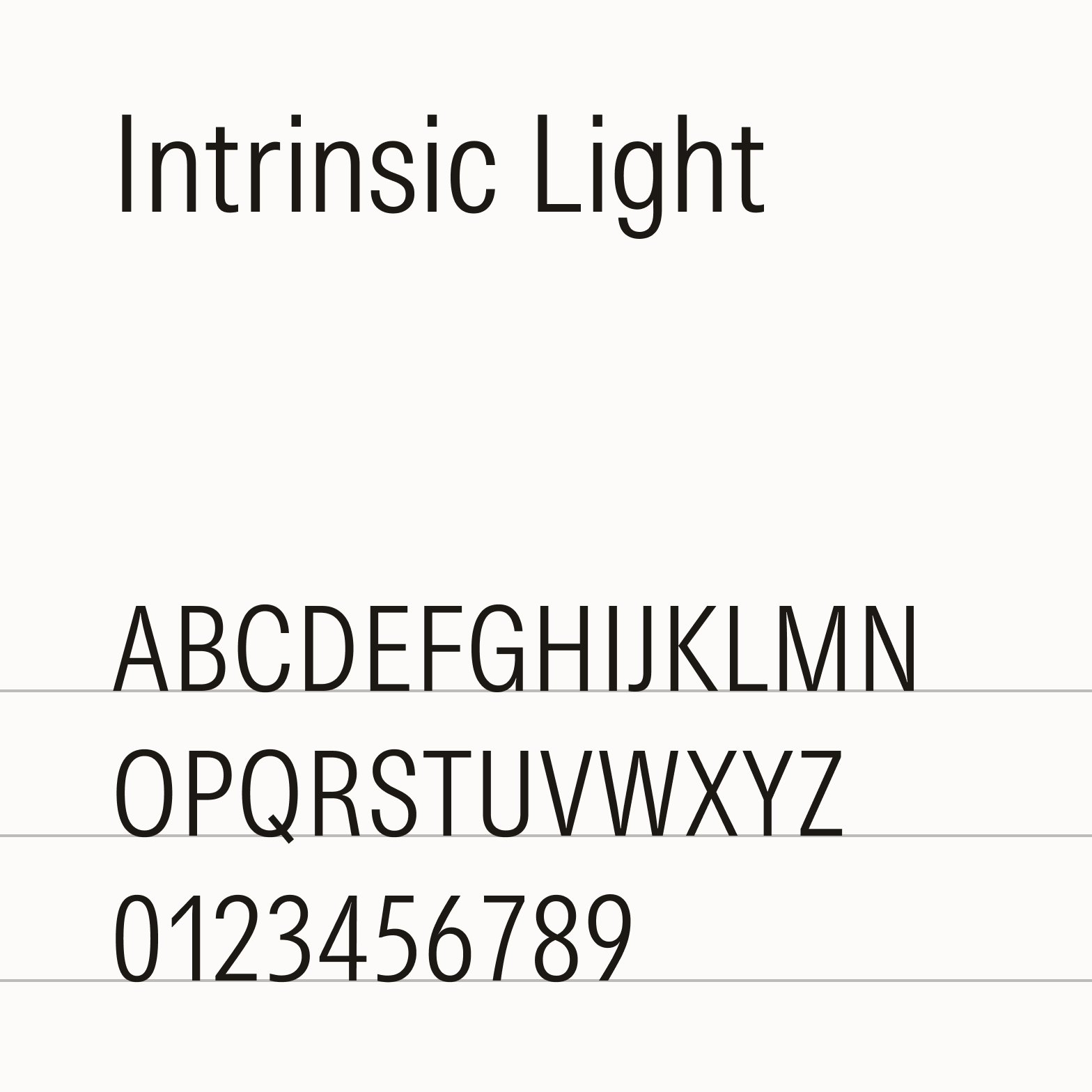 Typography Basic Weights