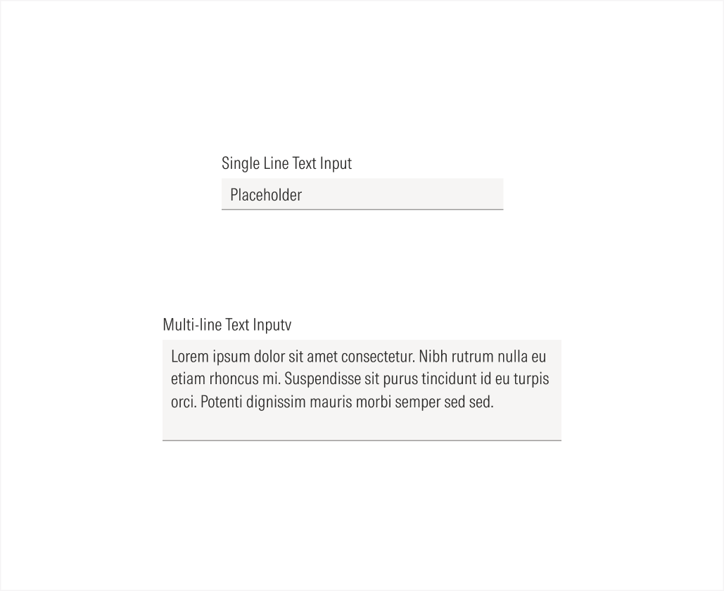 Text Input variations on light theme