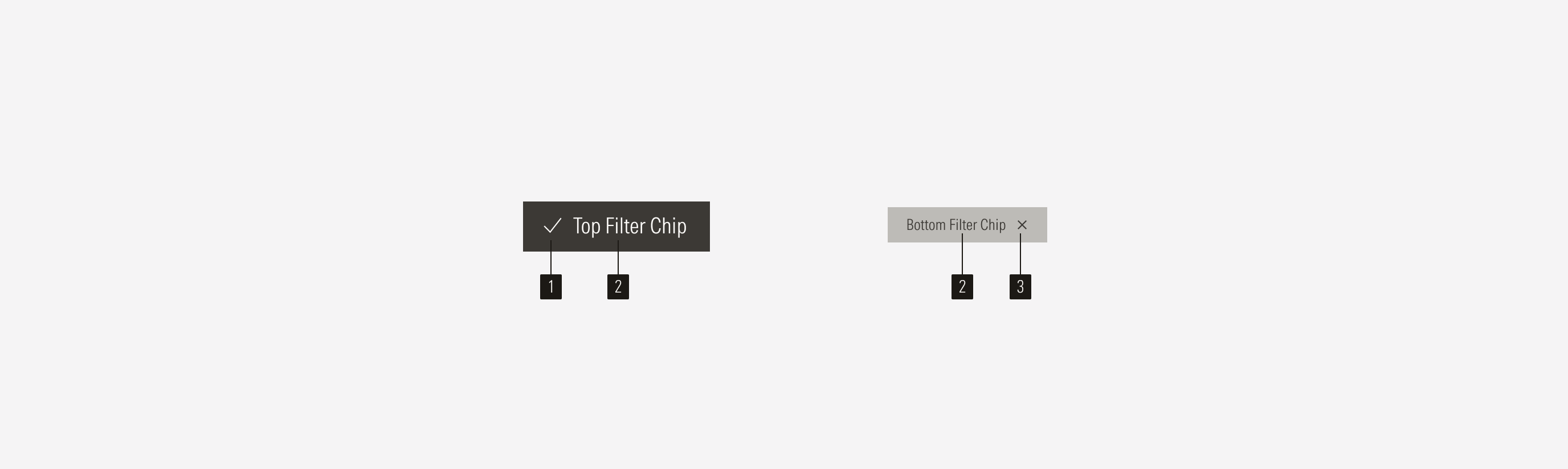 Chip Anatomy