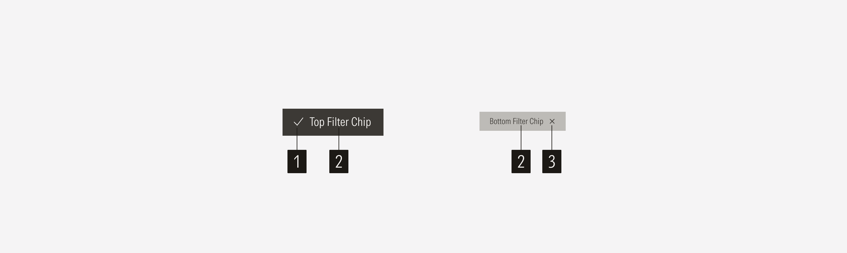 Chip Anatomy