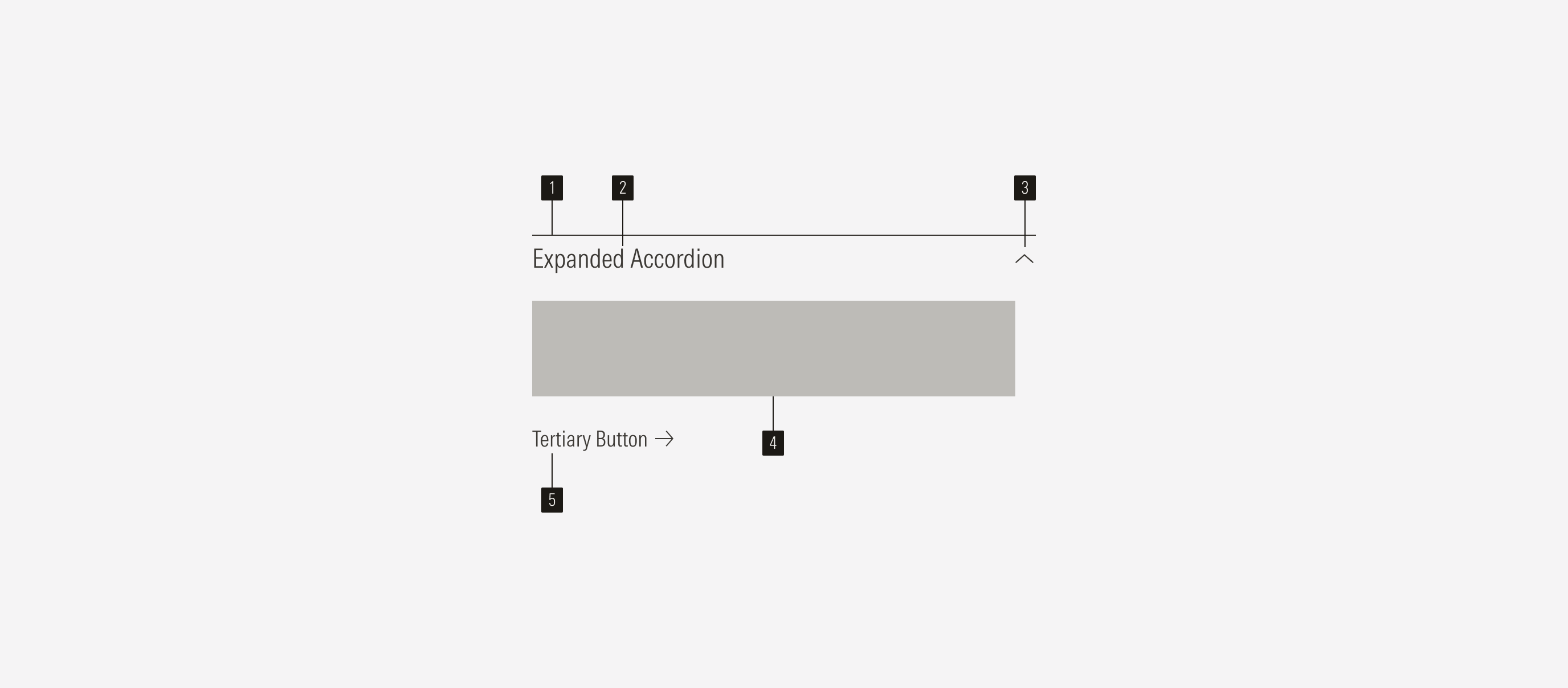 Accordion anatomy