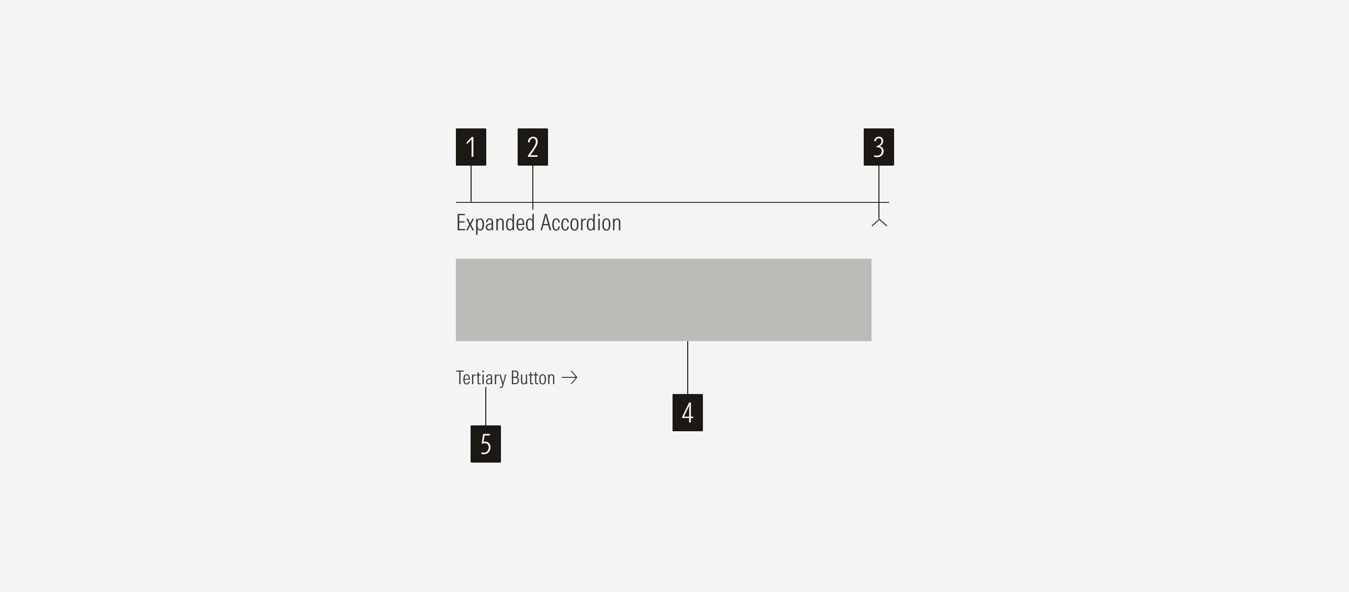 Accordion anatomy