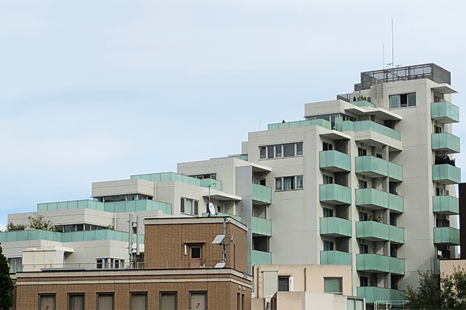 Anatomy Image for Correlation Matrix