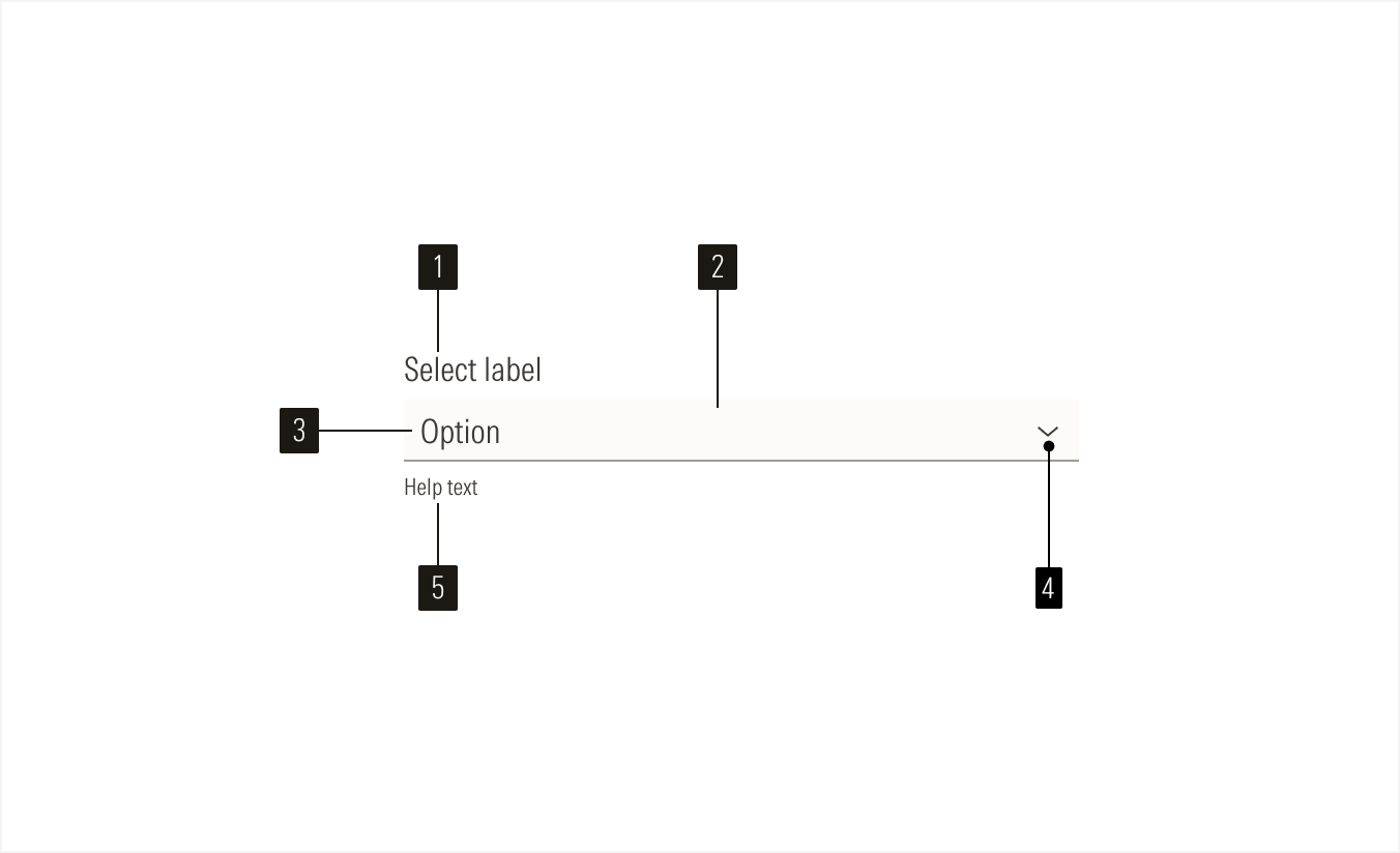 Select Anatomy: Select Main Element
