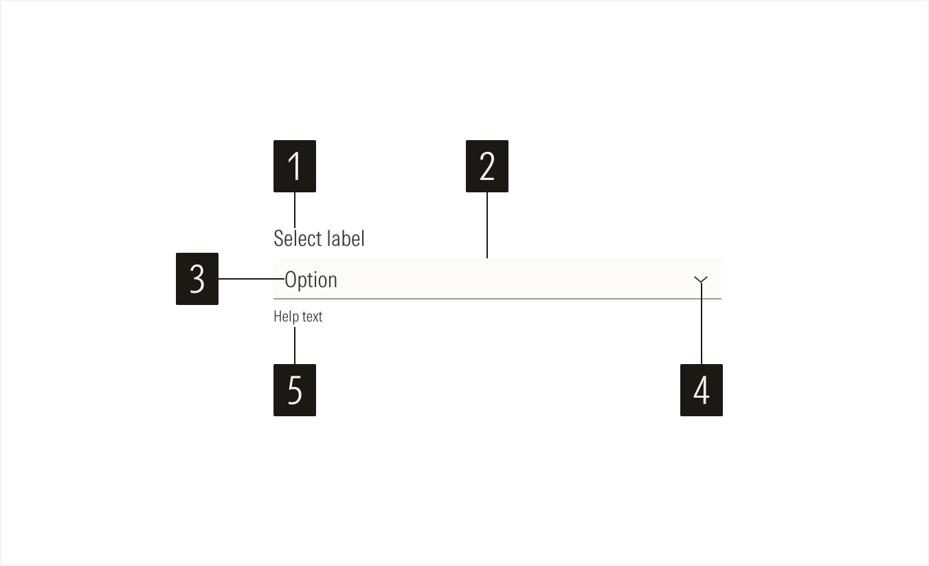 Select Anatomy: Select Main Element