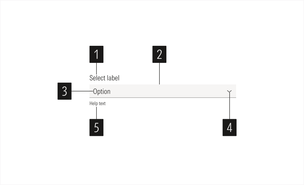 Select Anatomy: Select Main Element
