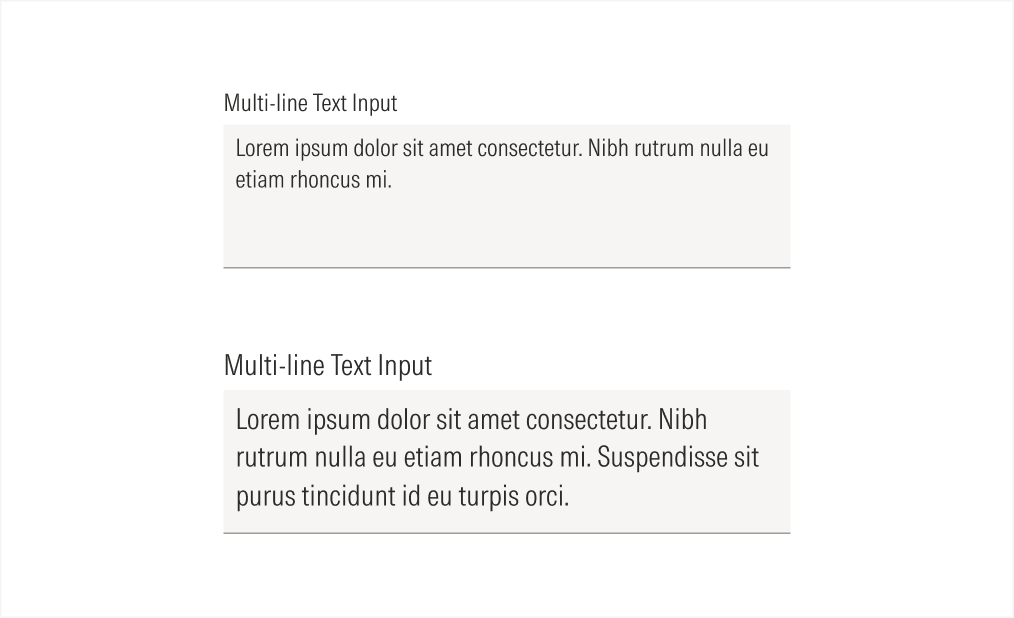 Sizes of single line text inputs