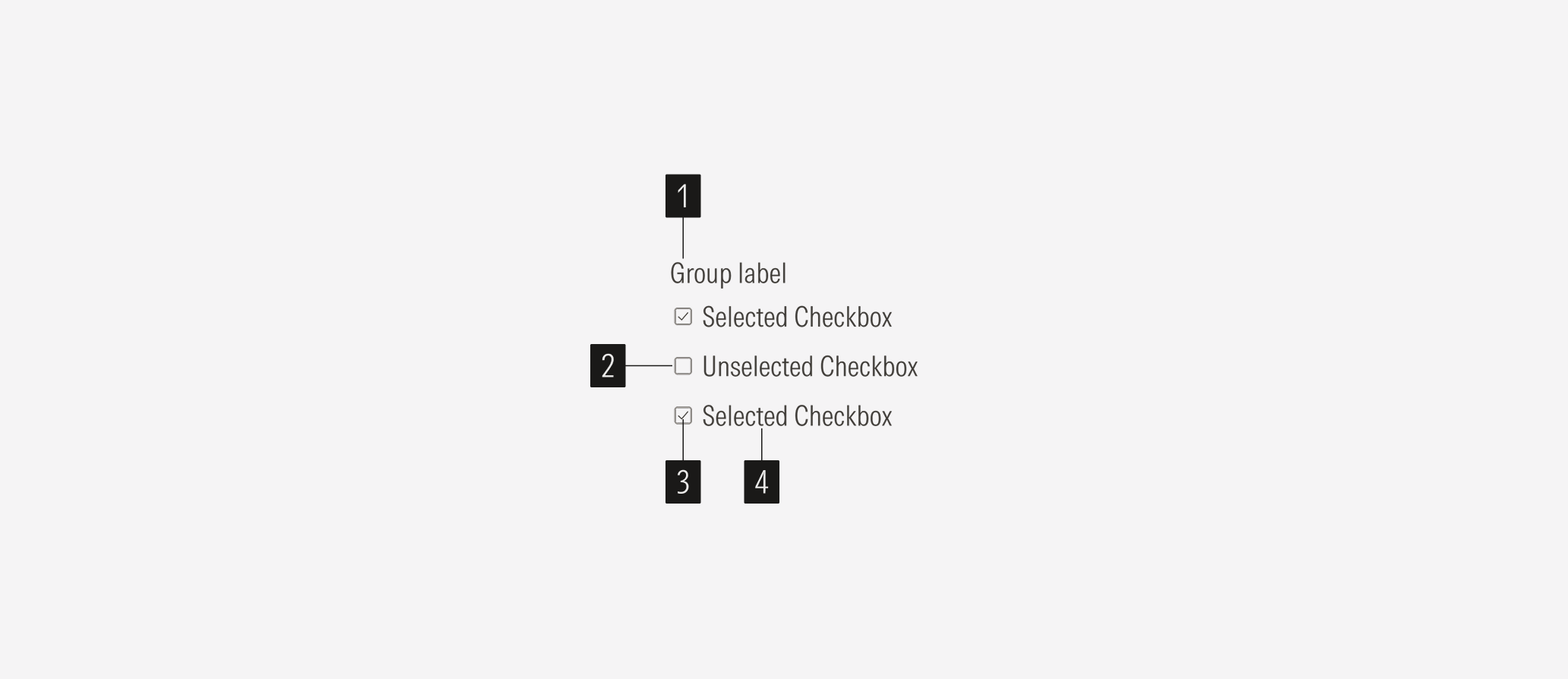 Checkbox Anatomy