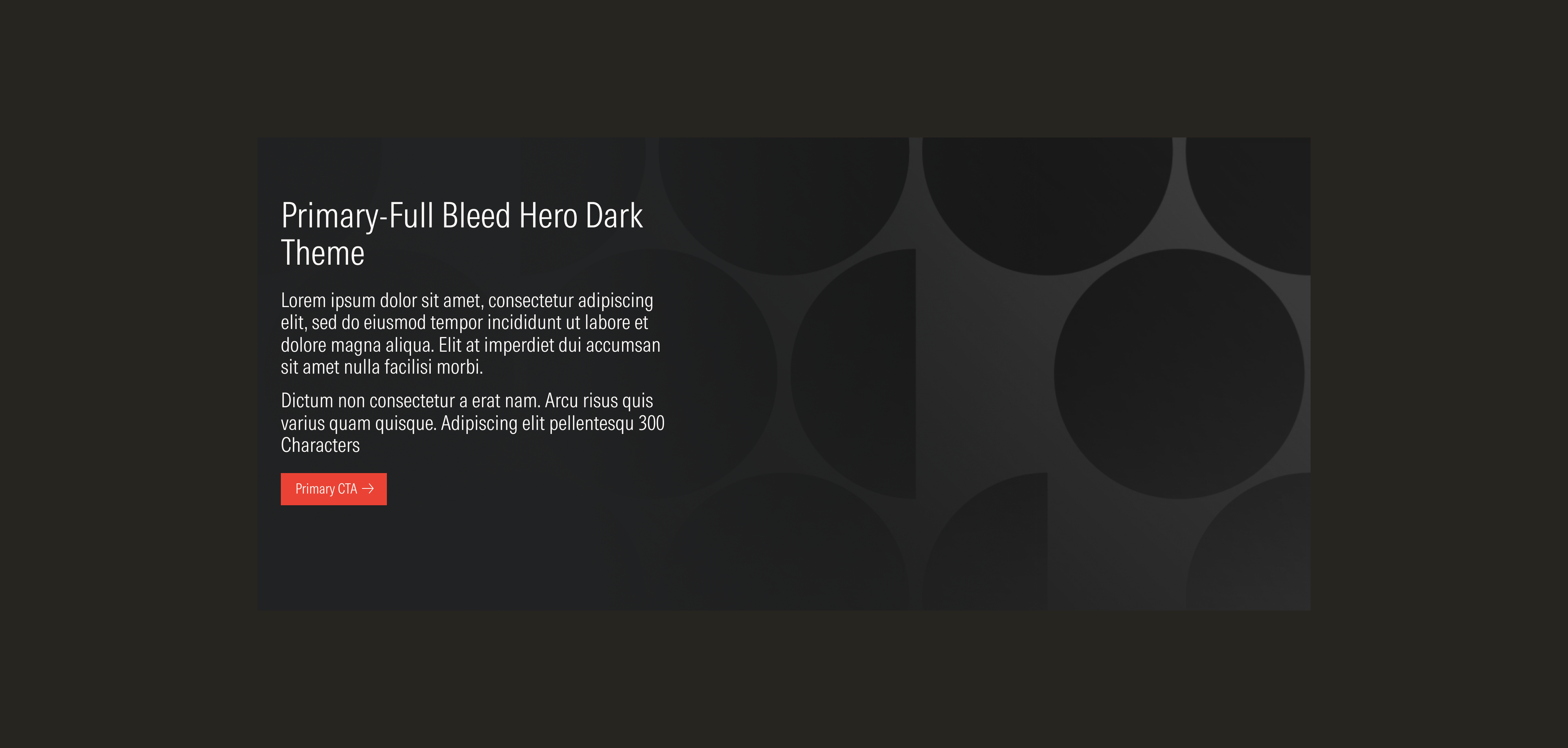 Primary-full bleed hero variation on the dark theme