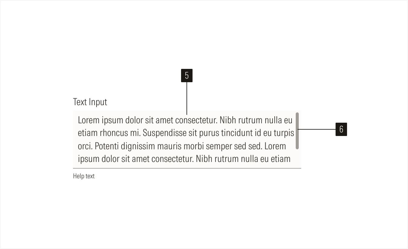 Text Input Anatomy 2