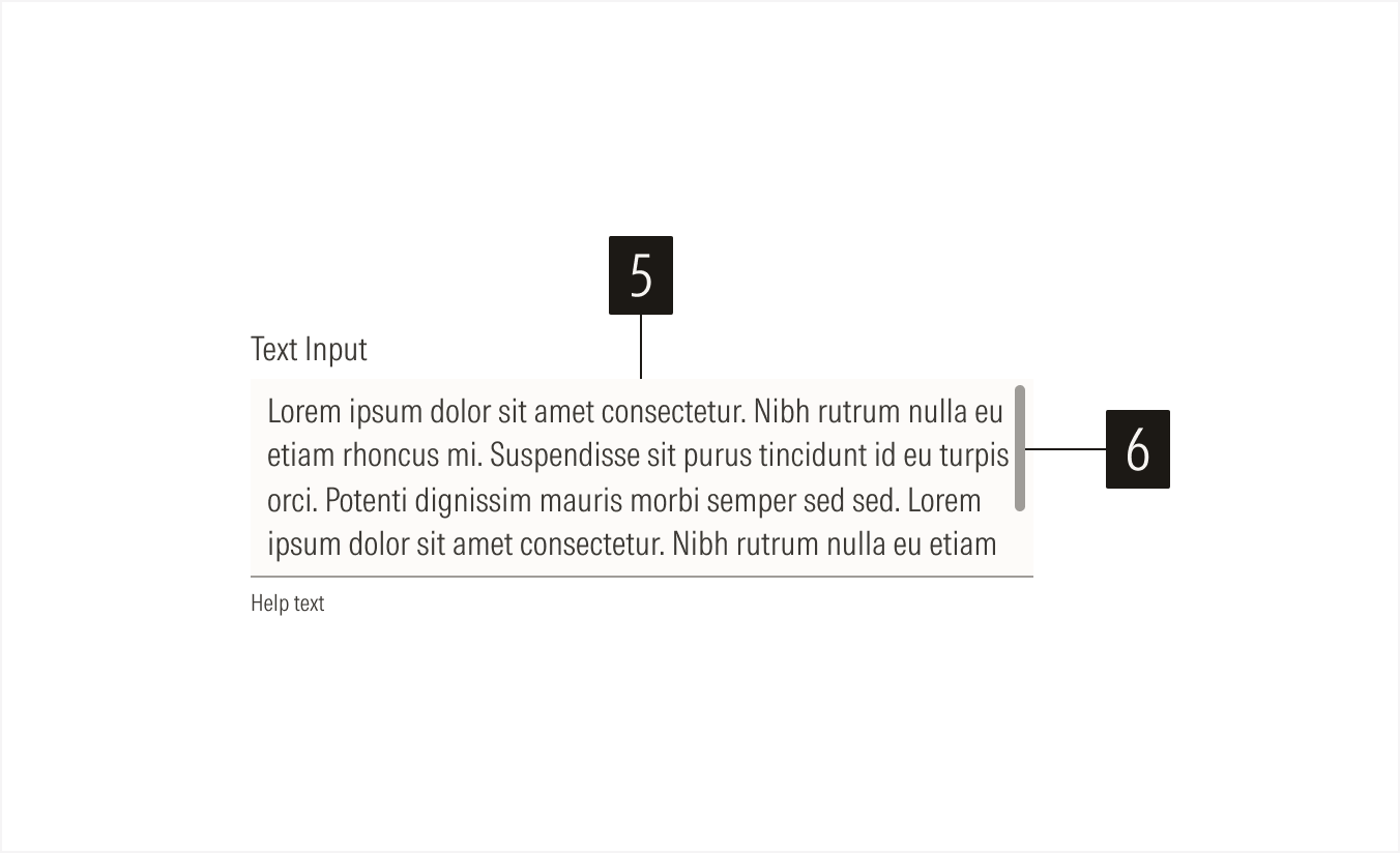 Text Input Anatomy 2