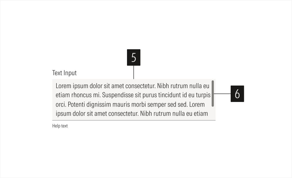 Text Input Anatomy 2