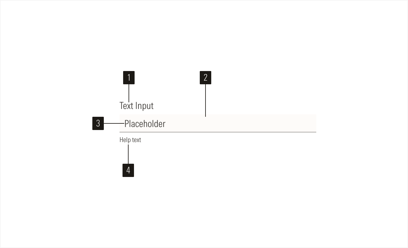 Text Input Anatomy 1