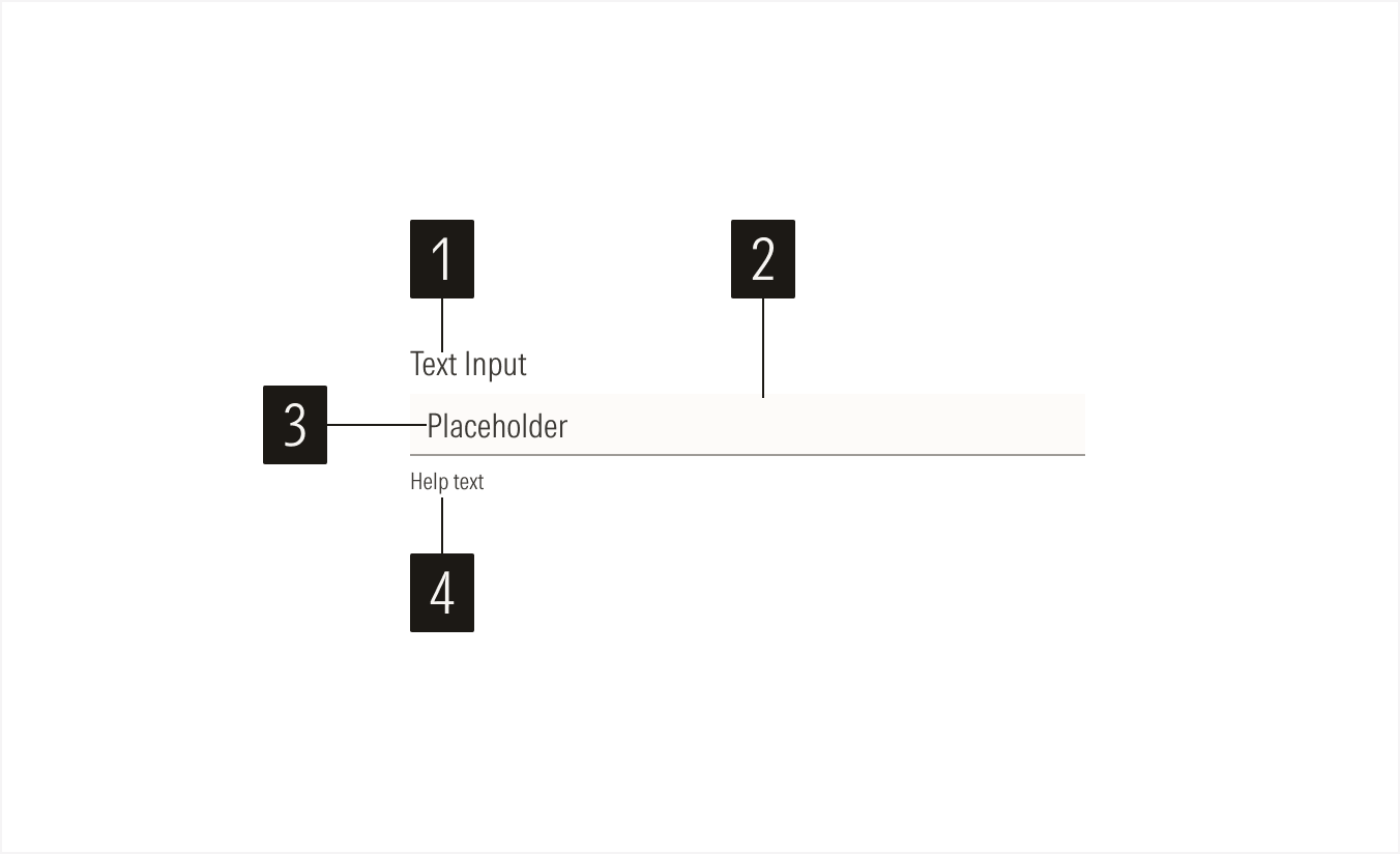 Text Input Anatomy 1