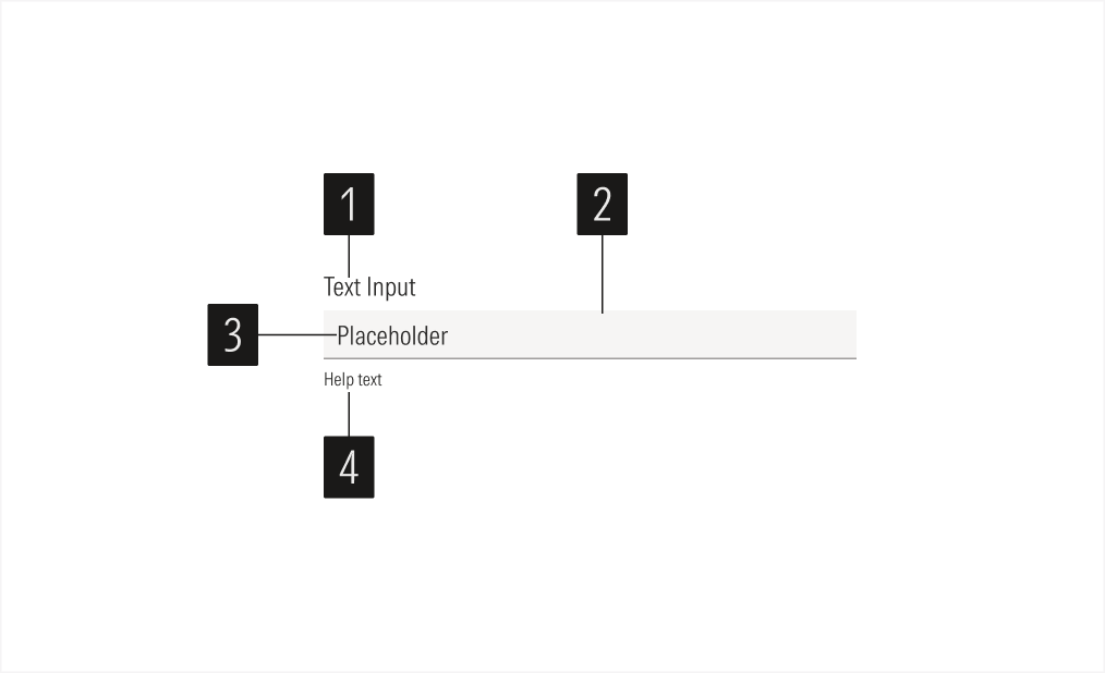Text Input Anatomy 1
