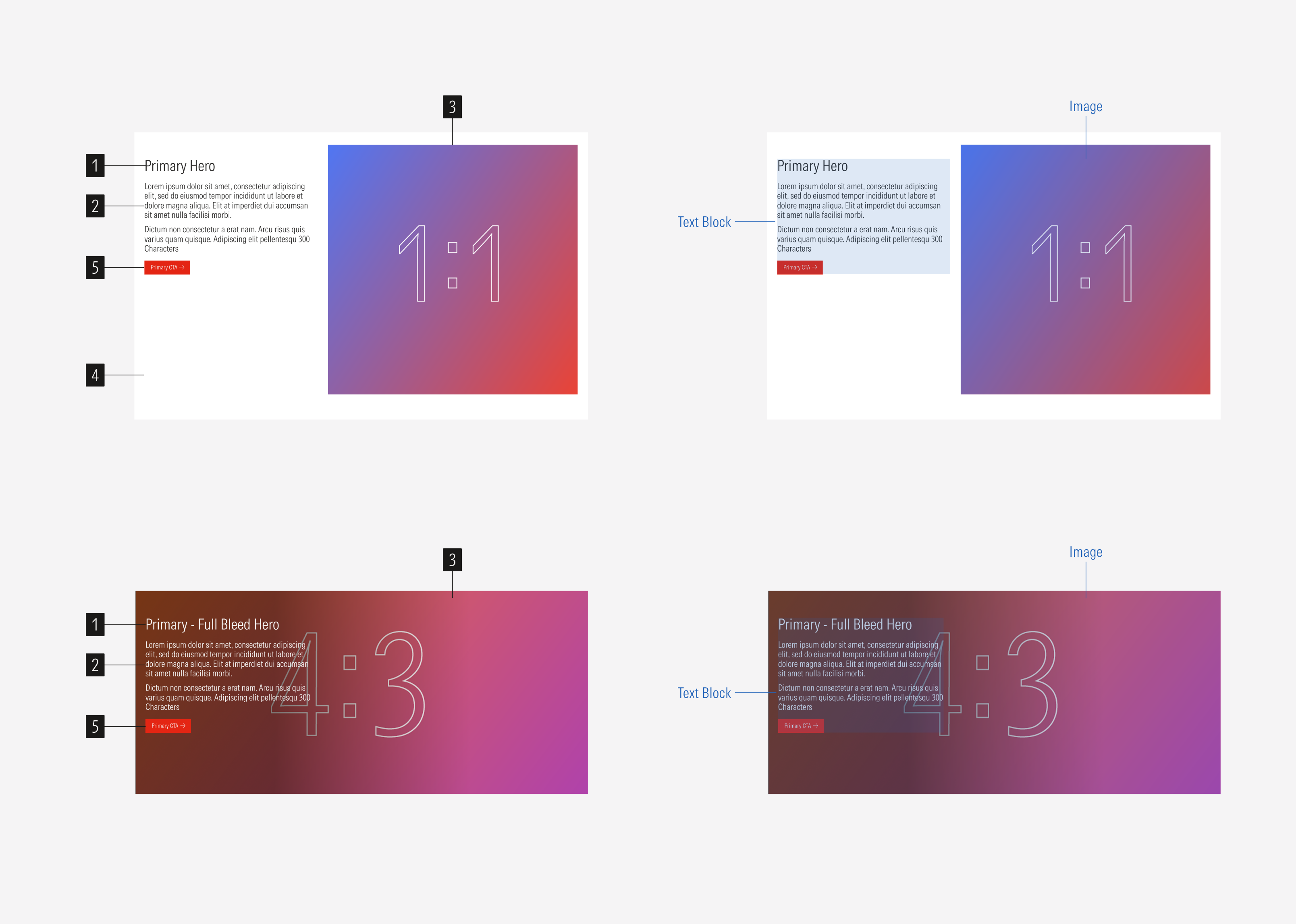 Primary Hero anatomy