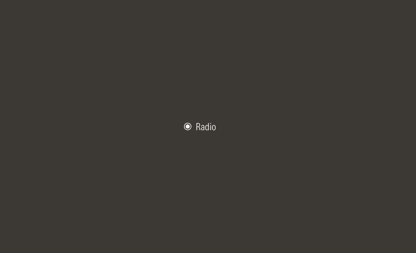 Radio on dark theme