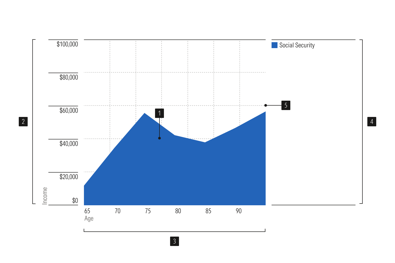 Anatomy image for Area