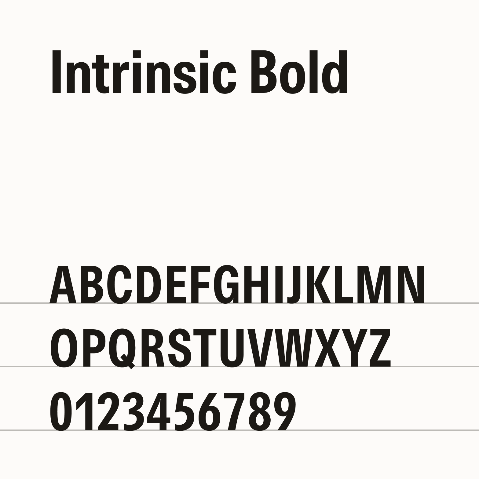 Typography basic weights layout