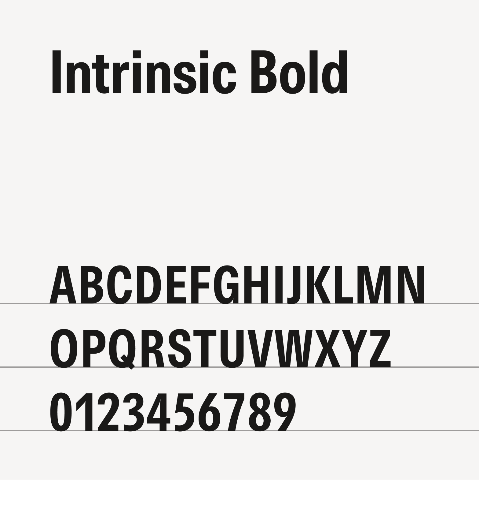 Typography basic weights layout