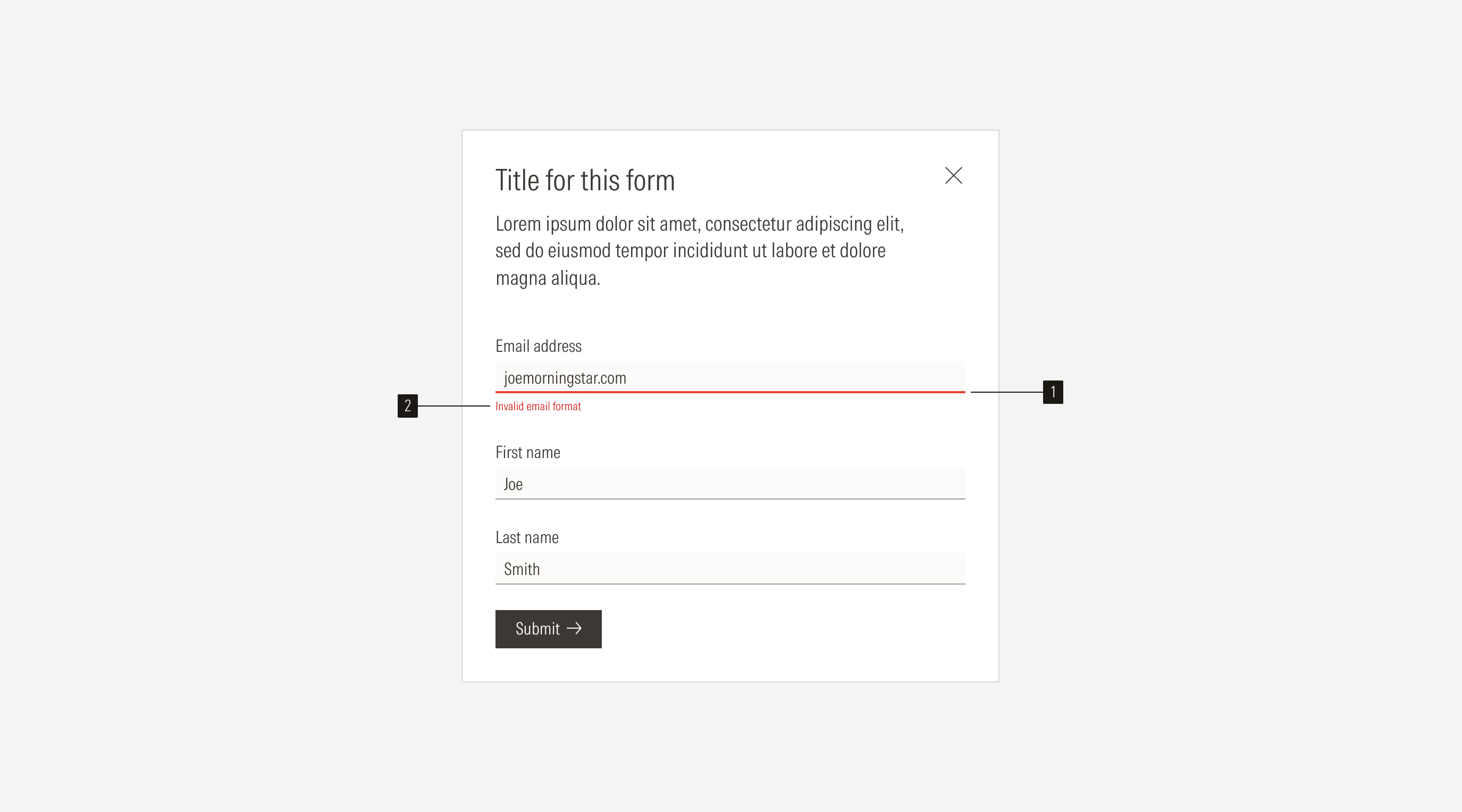 anatomy of a form with an error
