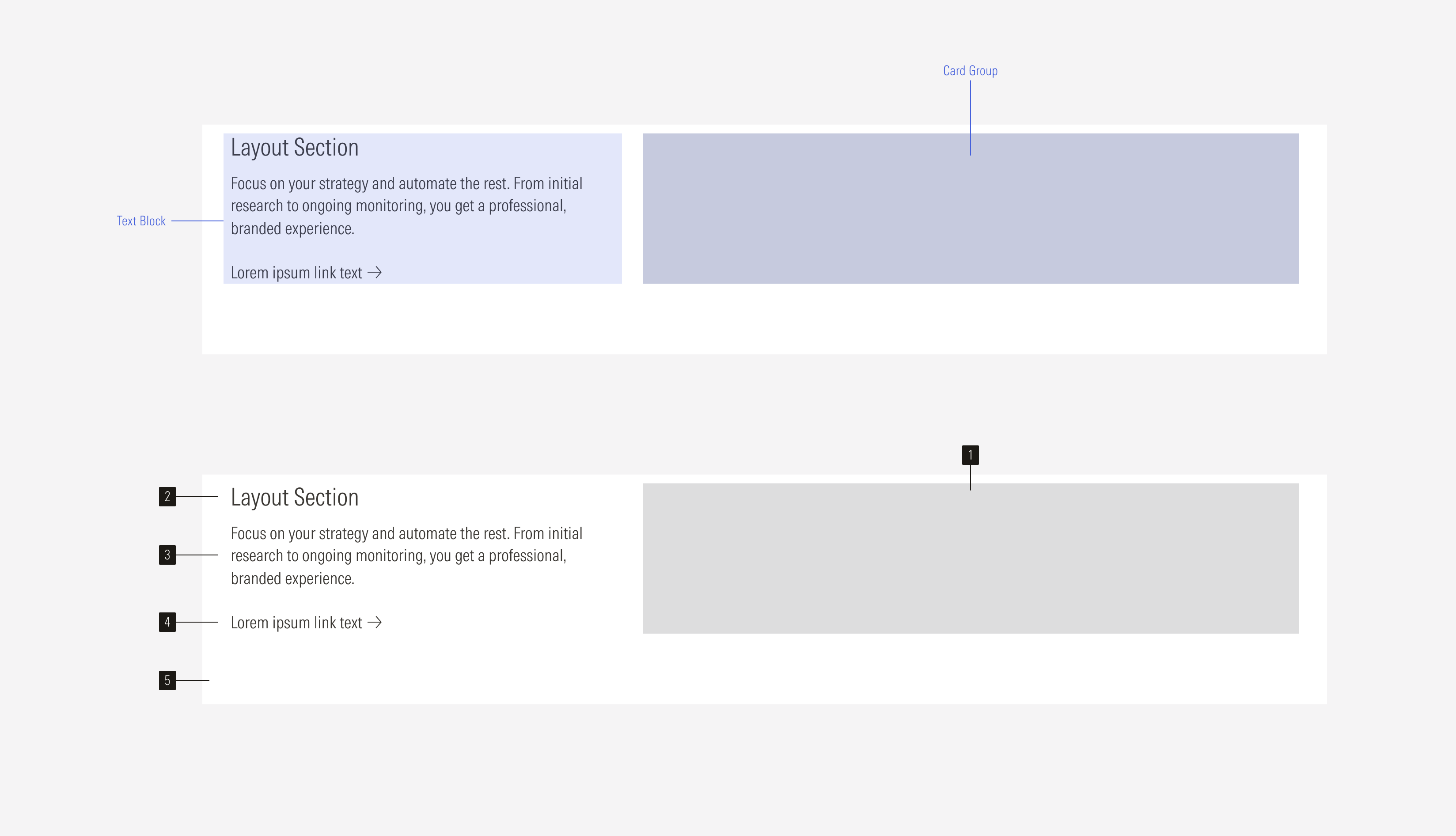 Layout Section Anatomy