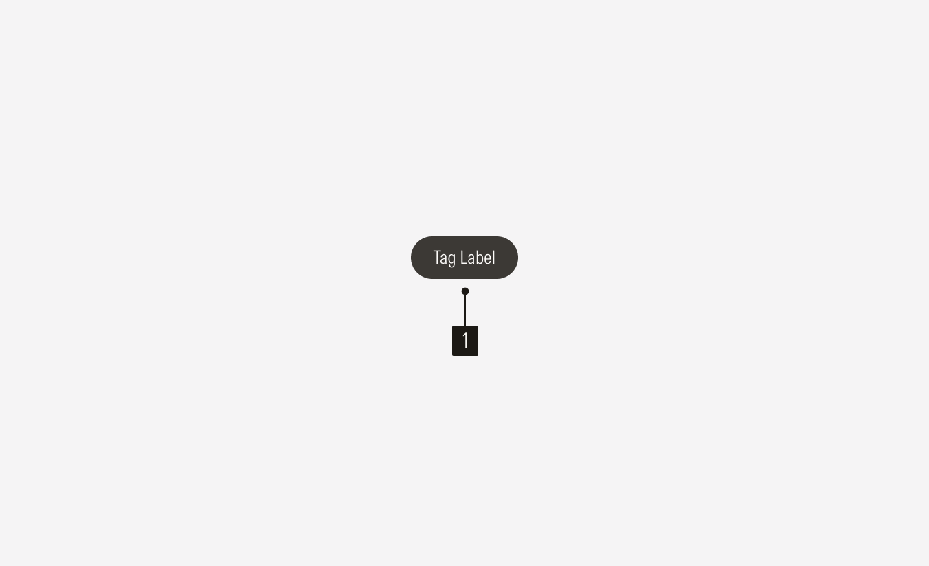 Tags Anatomy