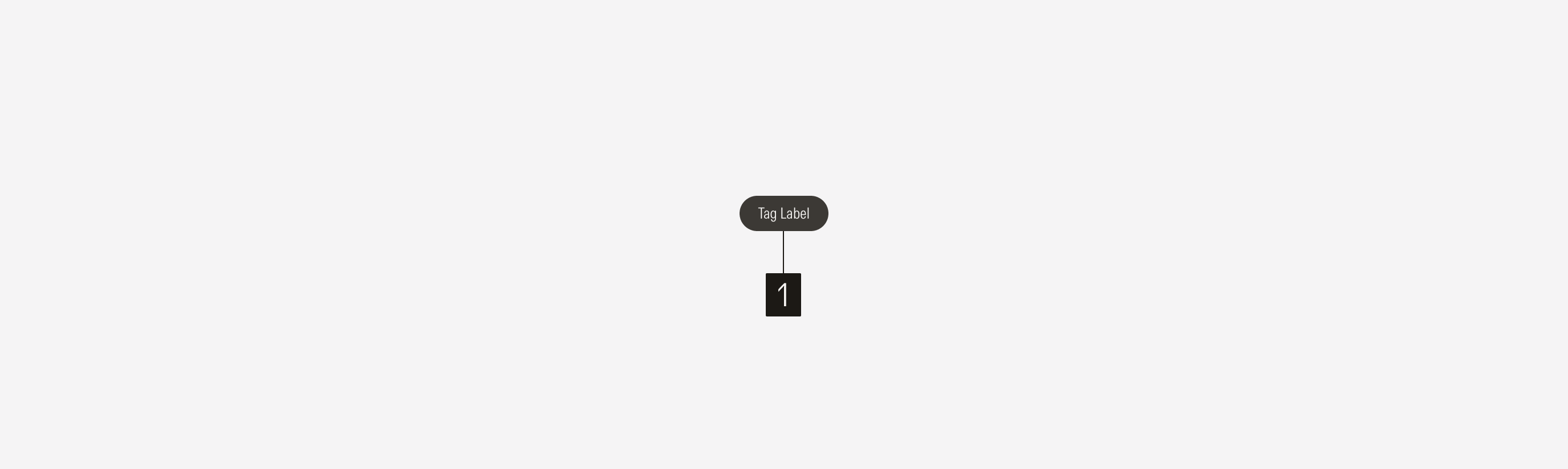Tags Anatomy