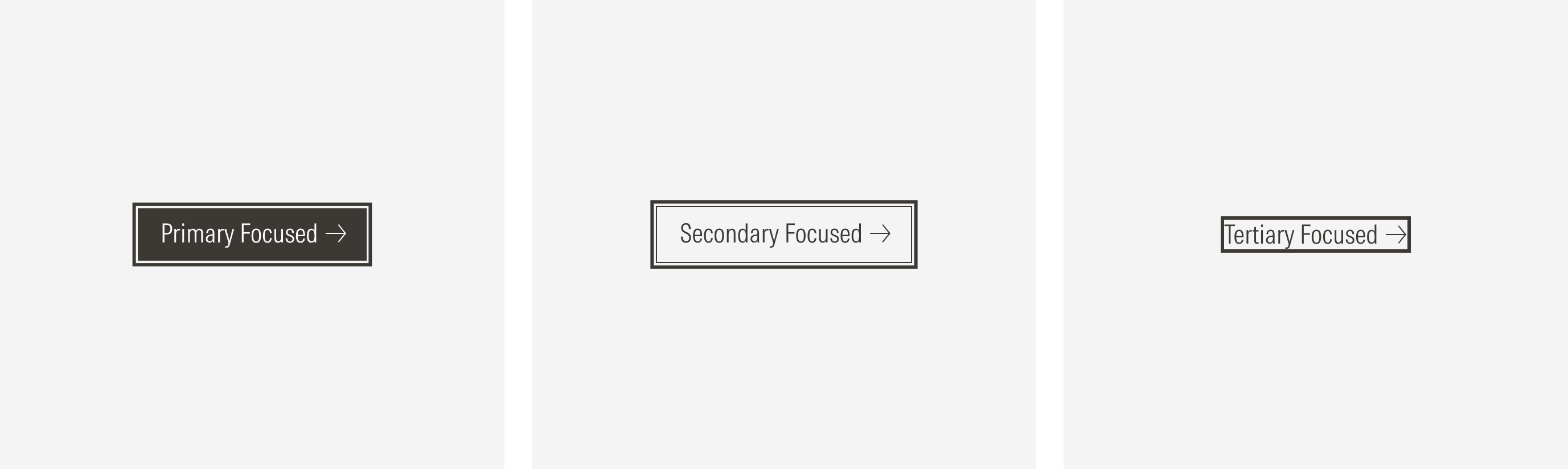 Main Buttons (Primary, Secondary, Tertiary) on their focused stage