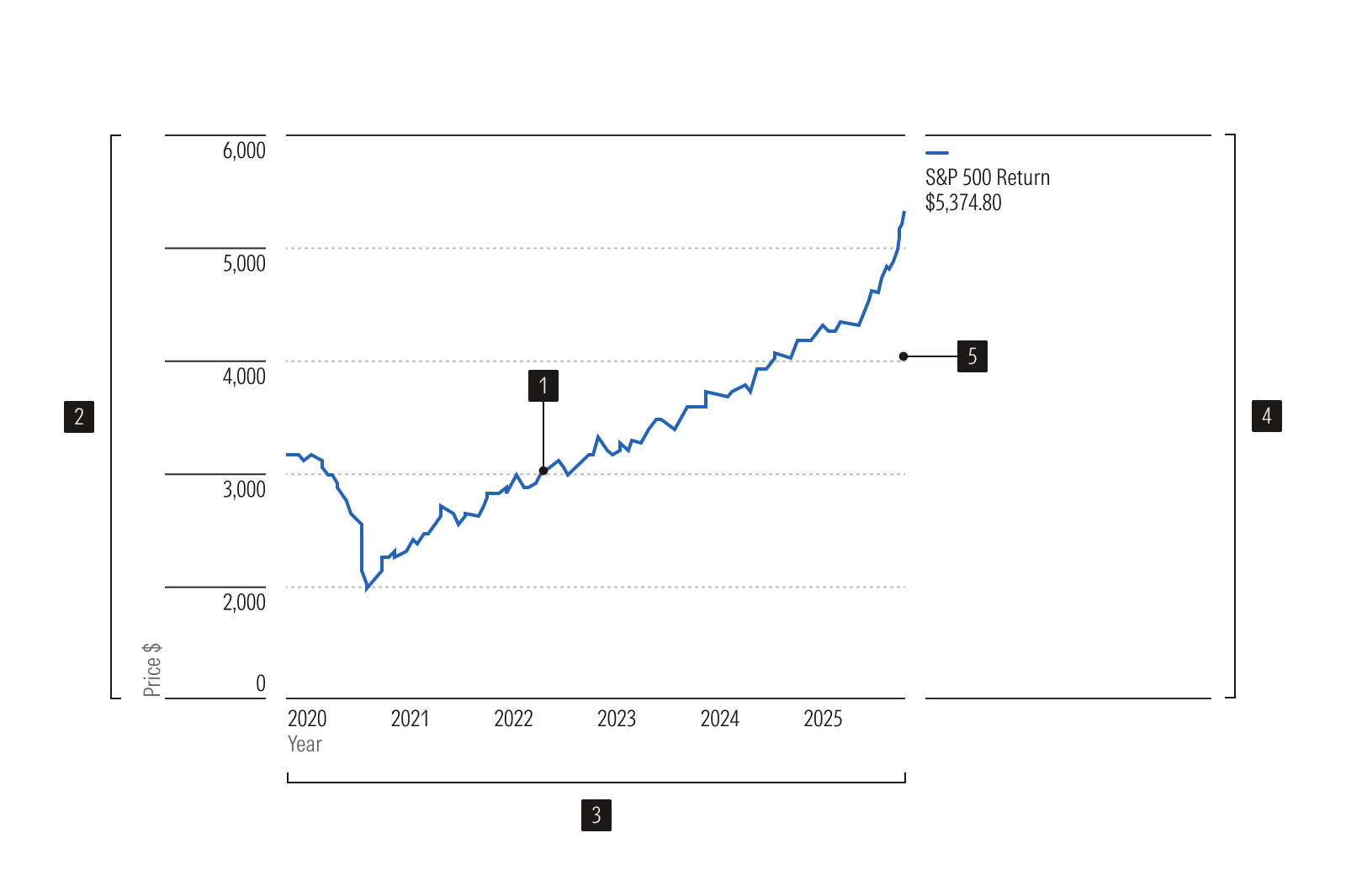 Anatomy Image of Line
