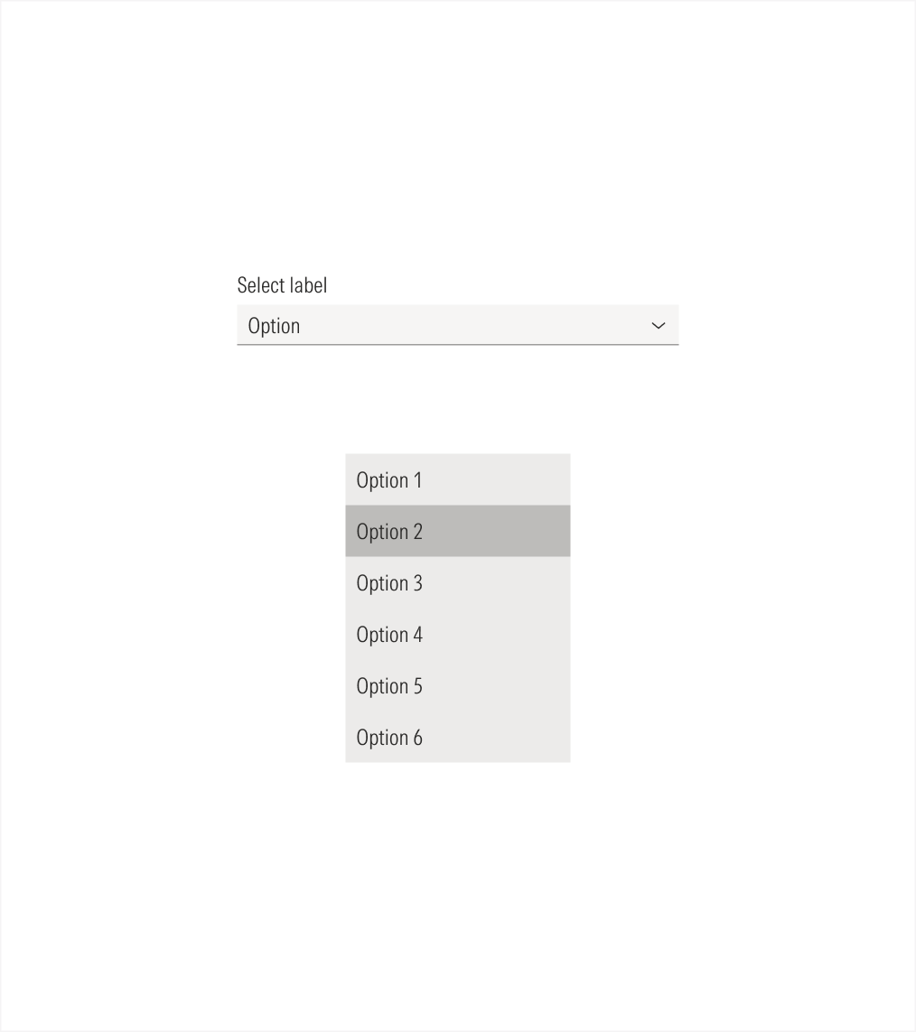 Select field and dropdown menu on light theme