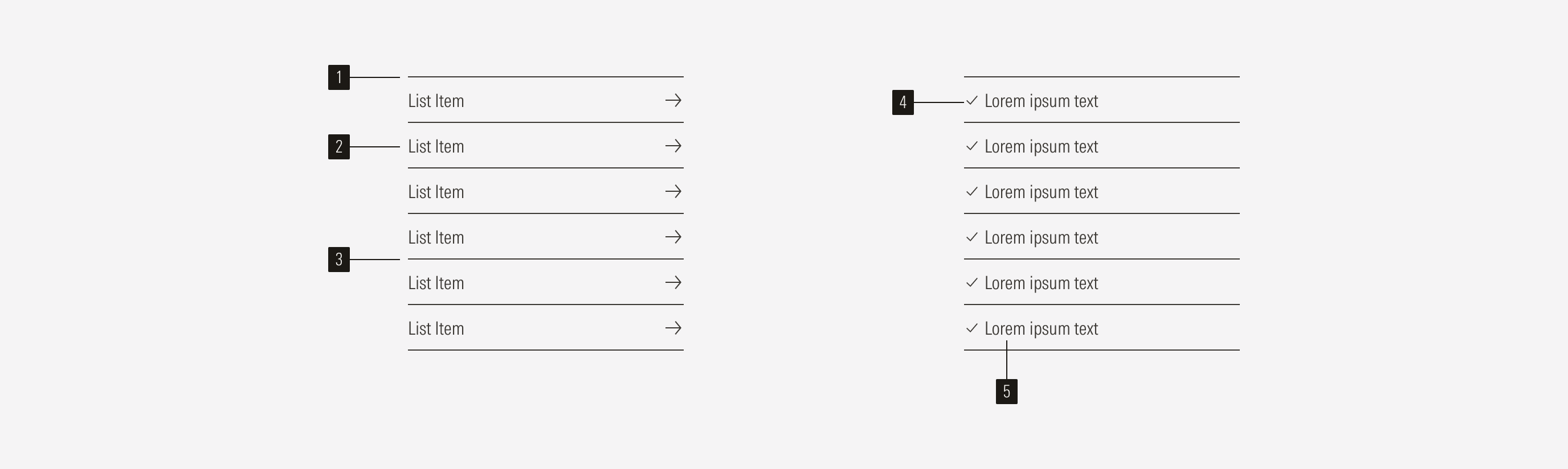 List group anatomy